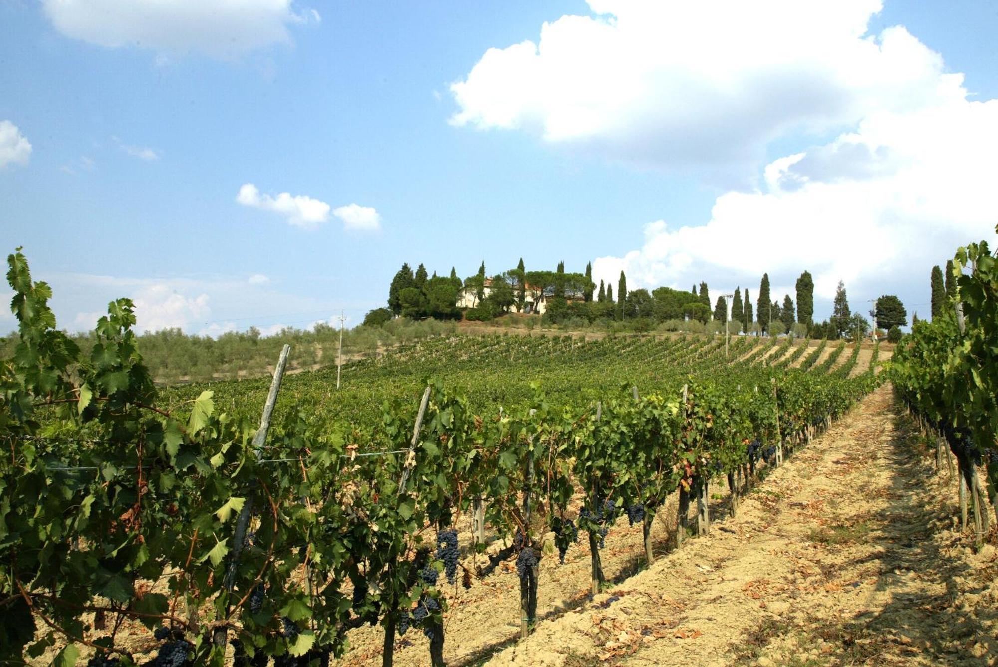 Agriturismo Pieve Sprenna Buonconvento Exteriér fotografie