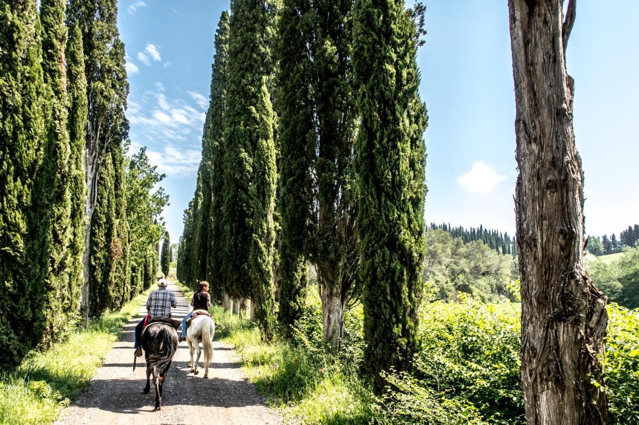 Agriturismo Pieve Sprenna Buonconvento Exteriér fotografie