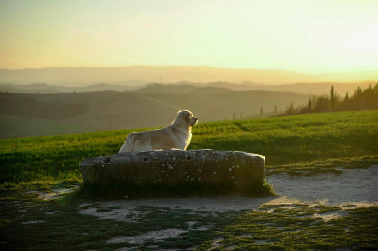 Agriturismo Pieve Sprenna Buonconvento Exteriér fotografie